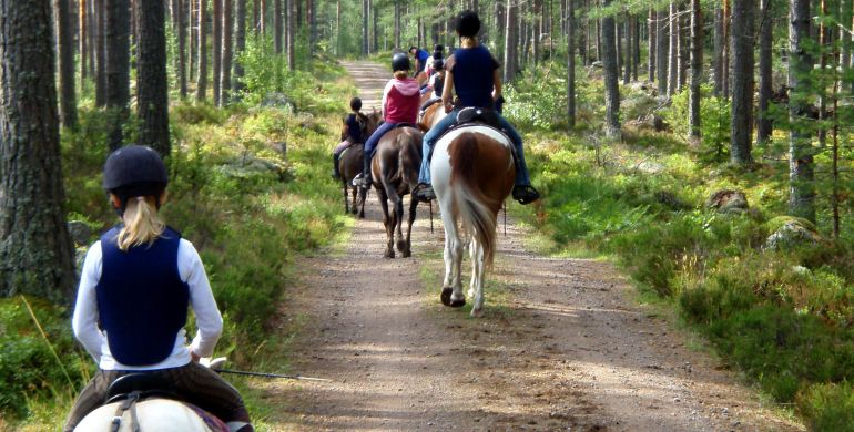 Ridande ungdomar på led