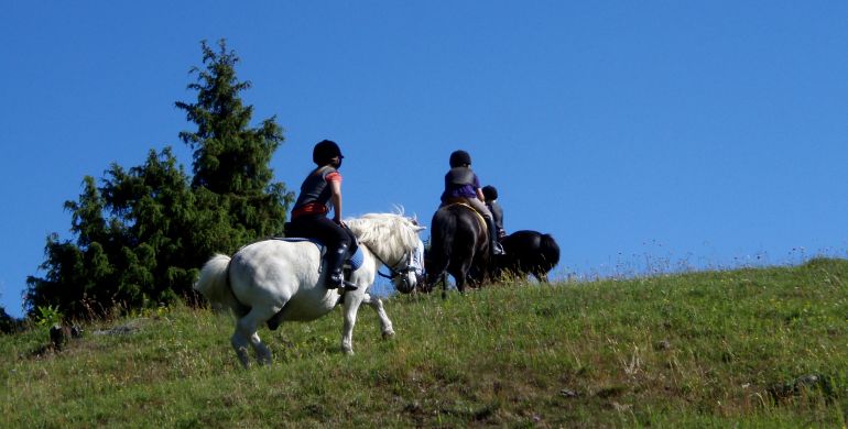 Barn ridande på ponny