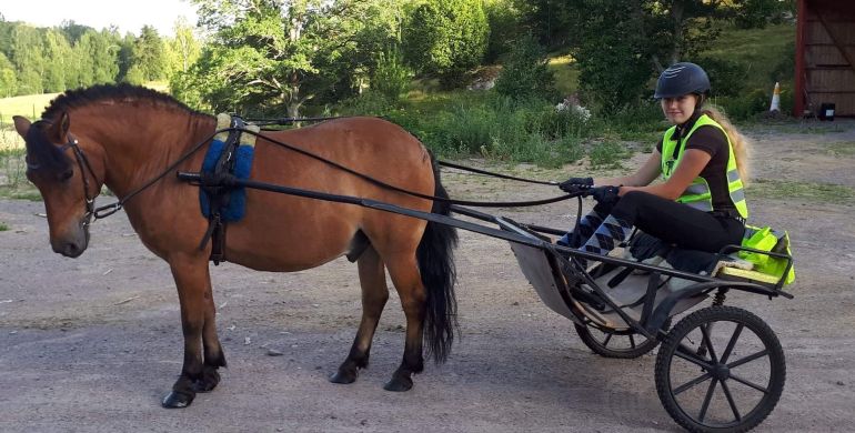Flicka som kör en sulky efter häst